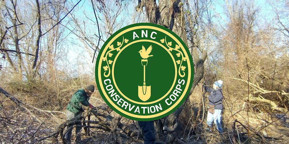 ANC Conservation Corps - Tuesday Workgroup at Ansonia Nature ...