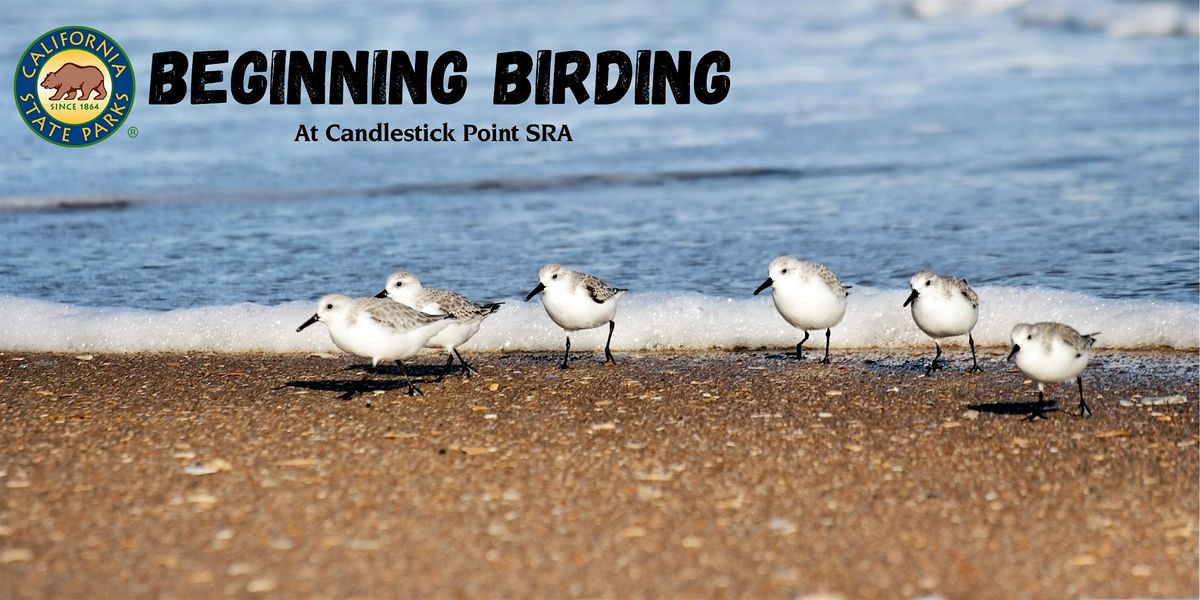 Beginning Birding