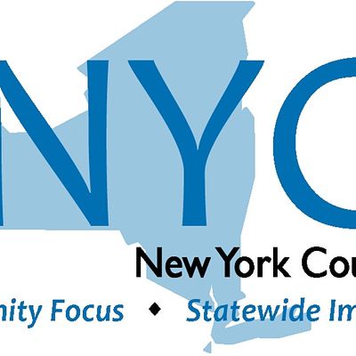 New York Council of Nonprofits, Inc. (NYCON)