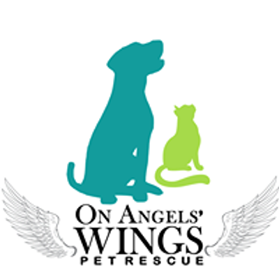 On Angels Wings Inc