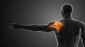 Rotator Cuff Study Day