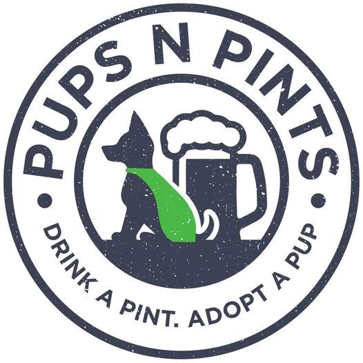 Pups N Pints Pet Adoption Event Fundraiser For Scdr Mary O Neill S Waxhaw Nc September 25 2021