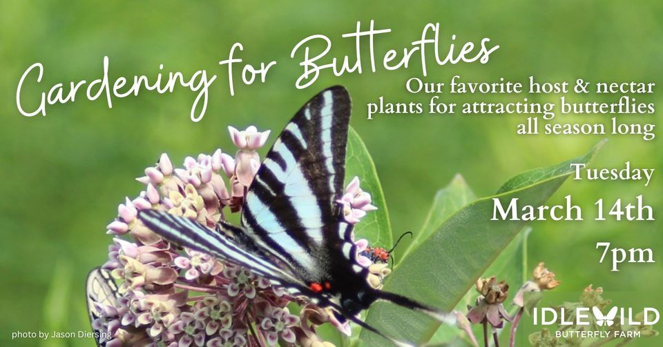 Gardening for Butterflies Our favorite host & nectar plants for
