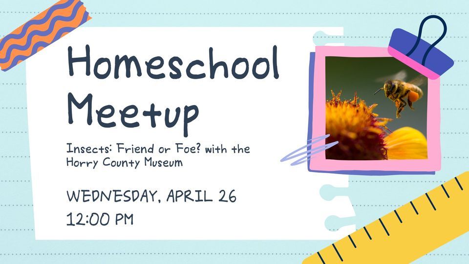 Homeschool Meetup Insects Friend Or Foe With The Horry County Museum homeschool-meetup-insects-friend-or-foe-with-the-horry-county-museum