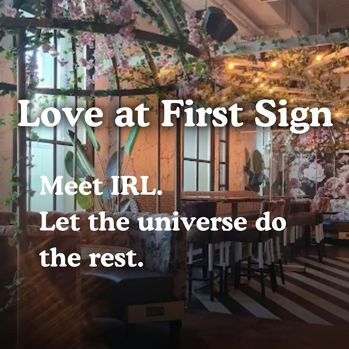 20s & 30s Single's Mixer with Love at First Sign