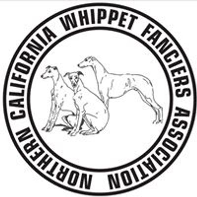 Northern California Whippet Fanciers Association Inc.