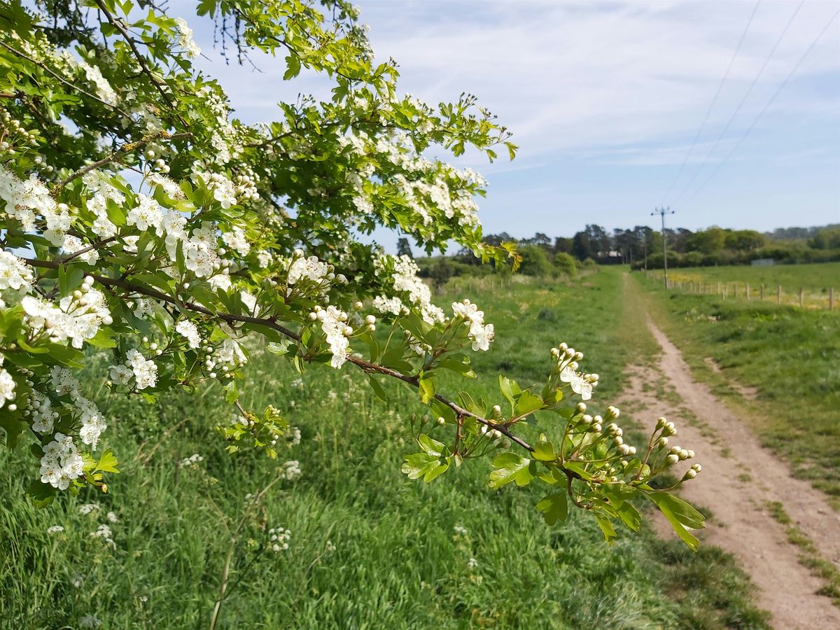 Volunteer Work Party - Bartonsham Meadows