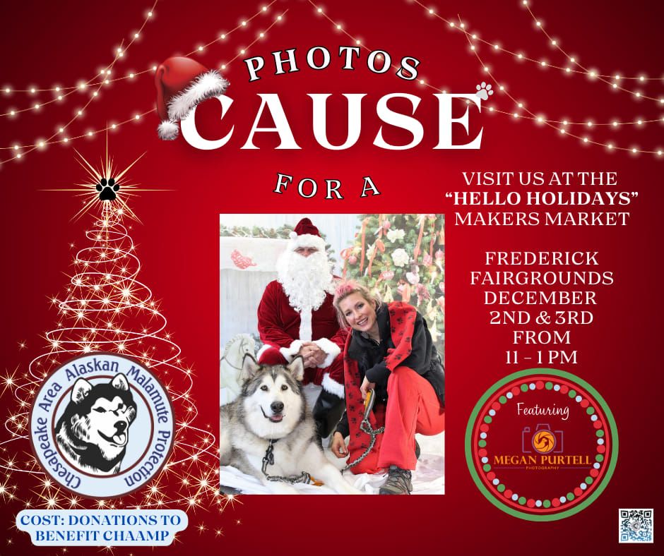 Santa Photos at Hello Holidays Frederick Maryland Fair Grounds