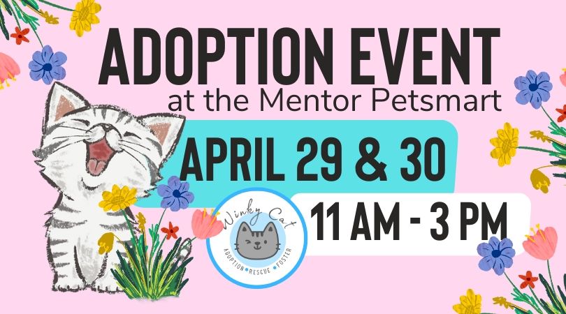 Spring into ADOPTION event for WINKY CATS | Mentor PetSmart | April 29 ...