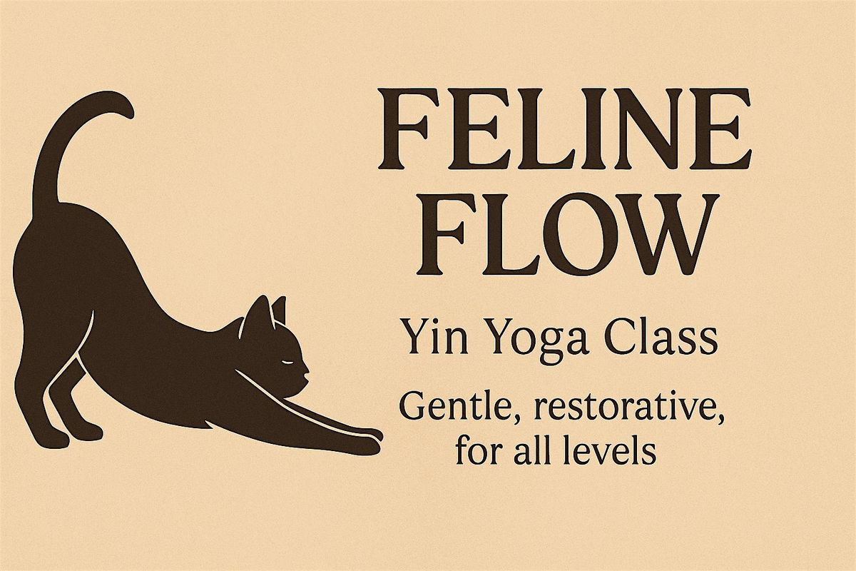 Feline Flow: Yin-Inspired Community Yoga Class