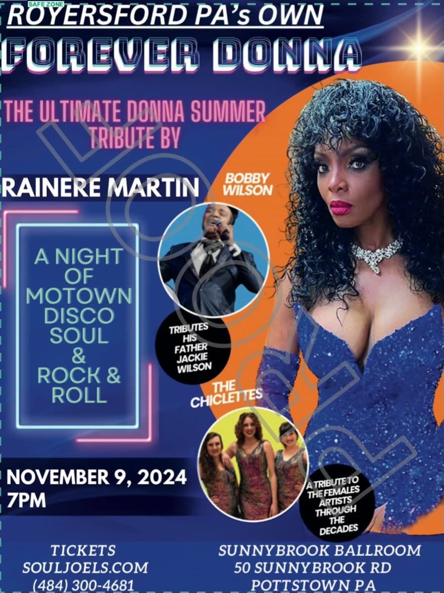 A Night Of Motown Disco Soul And Rock And Roll at SoulJoels at Sunnybrook