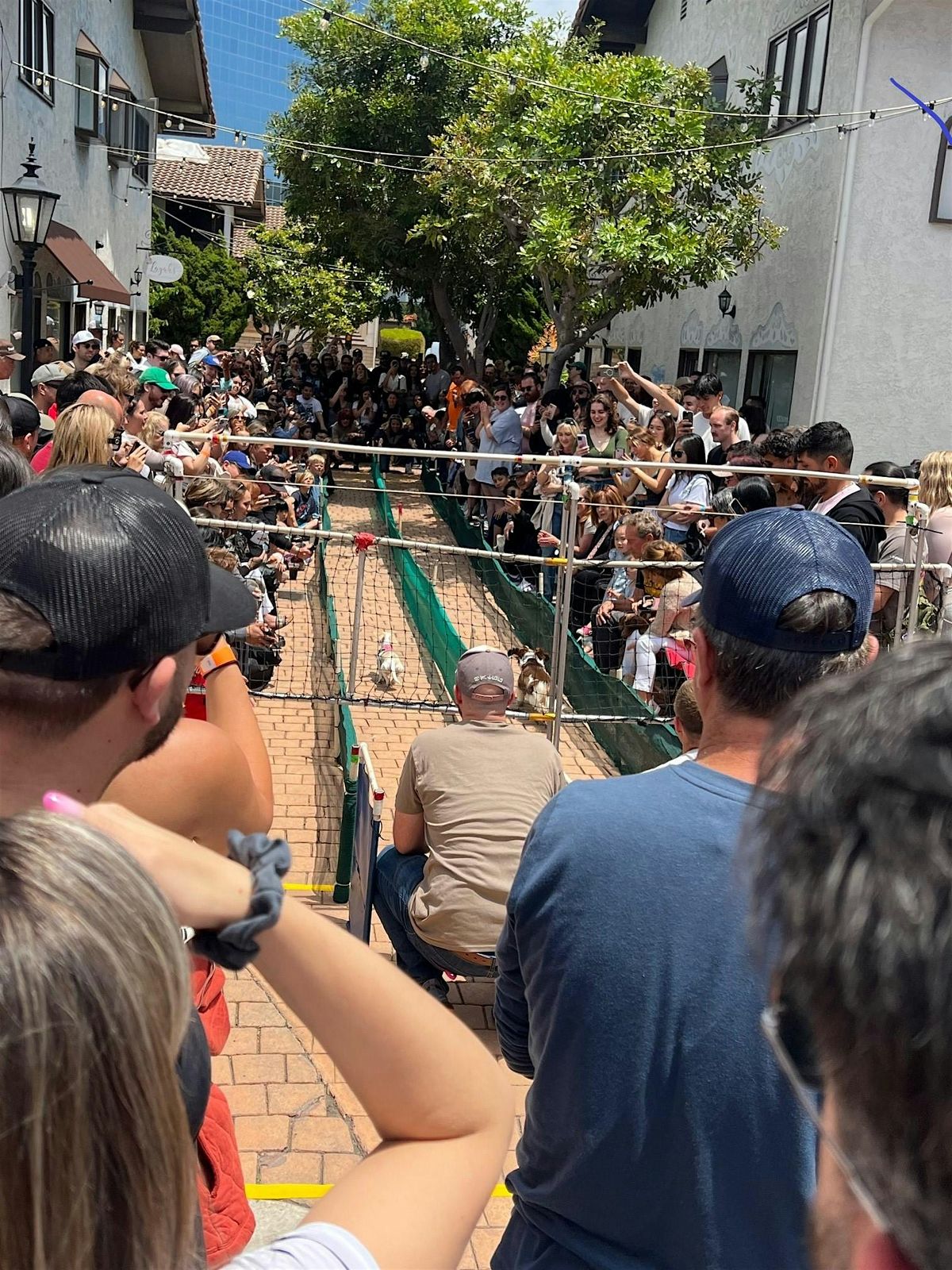 Arts and Crafts Vendor Fair @ Old World Wiener Dog Race Sunday December 7th