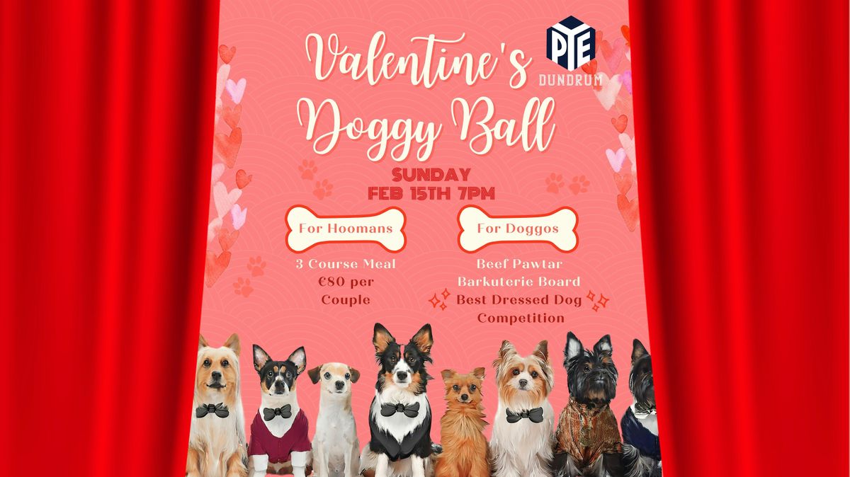 Doggy Valentine's Ball 2026 at PYE Dundrum
