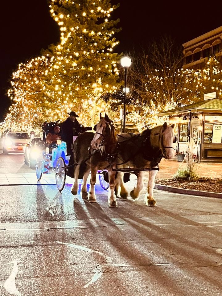 FULLY BOOKED Downtown Fort Collins Holiday Carriage Rides Downtown