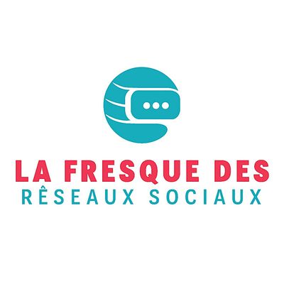 La Fresque des R\u00e9seaux Sociaux