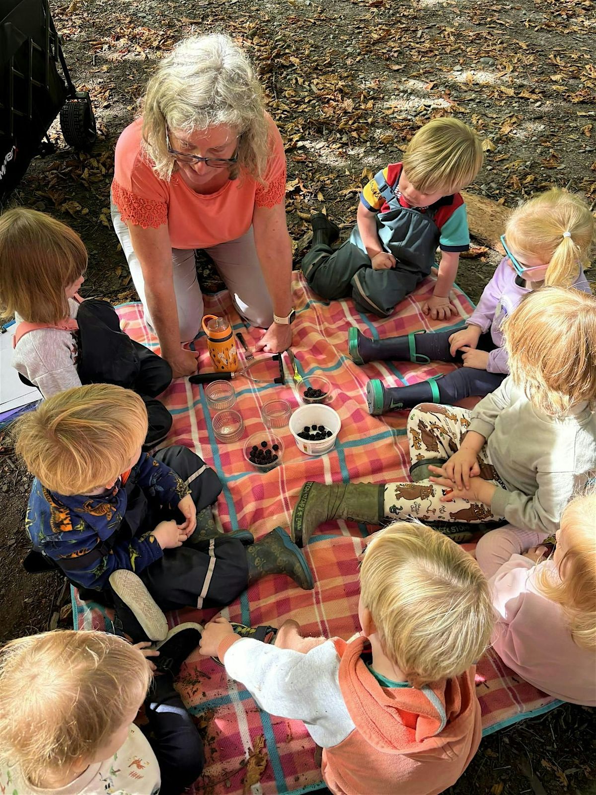 Childminder Networks - Derby: Markeaton Park, Markeaton