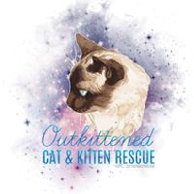 Outkittened Cat and Kitten rescue