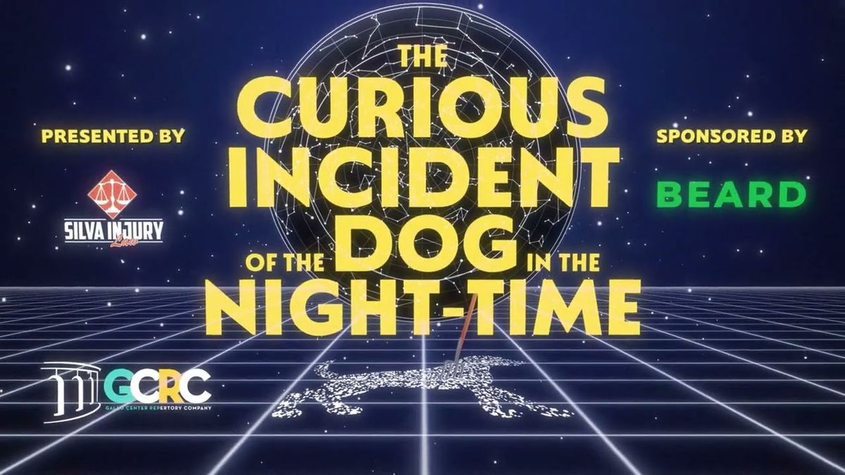 The Curious Incident of the Dog in the Night-Time - Modesto