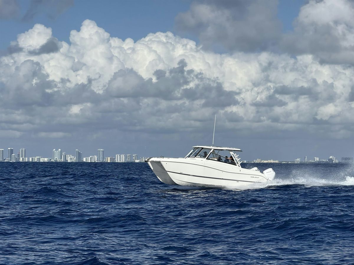 World Cat of Naples Demo Days