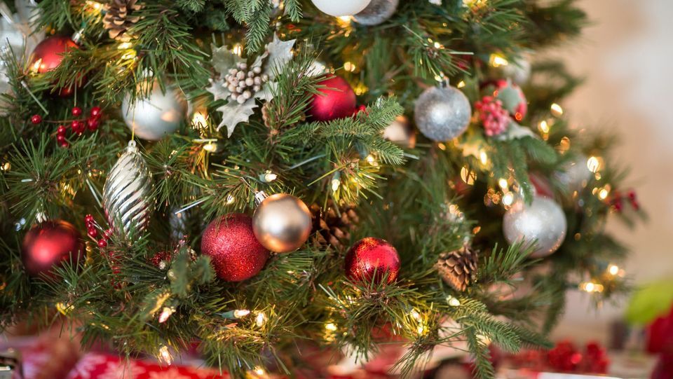 Festival of Trees New Braunfels Sneak Peek Villa at Gruene, New