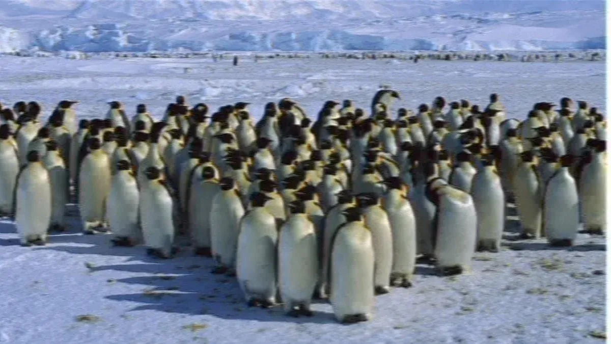 Topics in Psychology: Who Are You and Where Are You Going? A Work Session.