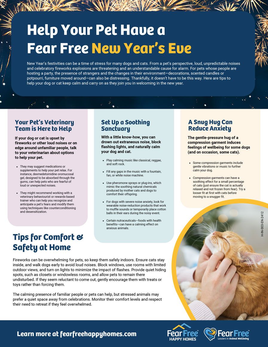 Freedom from Anxiety