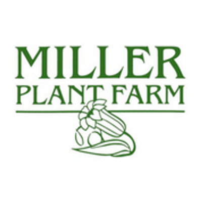 Miller Plant Farm