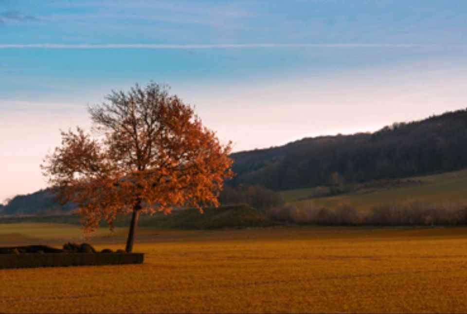 Creative Flow Writing and Movement pop up series Gardiner Stone