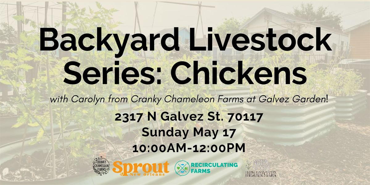 Backyard Livestock Series: Chickens