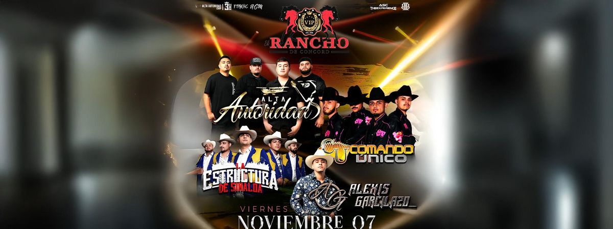 Alta, Estructura, Comando y Alexis en Concord CA