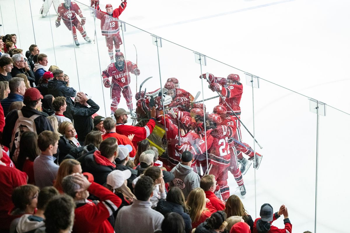 Colgate Raiders at Harvard Crimson Mens Ice Hockey at Bright-Landry Hockey Center