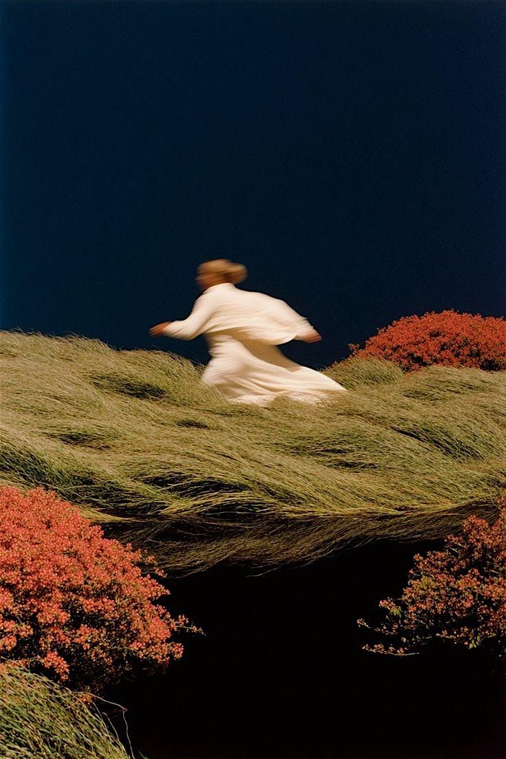 Wander & Wonder: Shamanic Journeying for Inner Wisdom