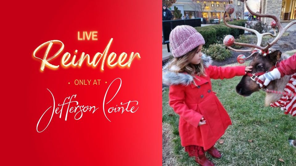 Live Reindeer at Jefferson Pointe 4130 W Jefferson Blvd, Fort Wayne