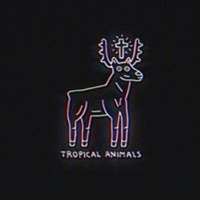 Tropical Animals