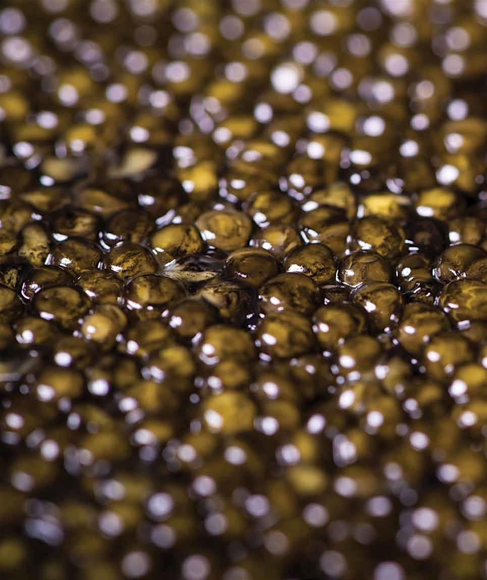 SIMON JOHNSON & Moncur Cellars: Champagne & Caviar Tasting Event