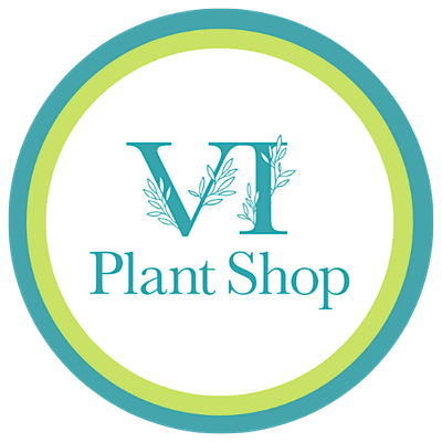 VI Plant Shop