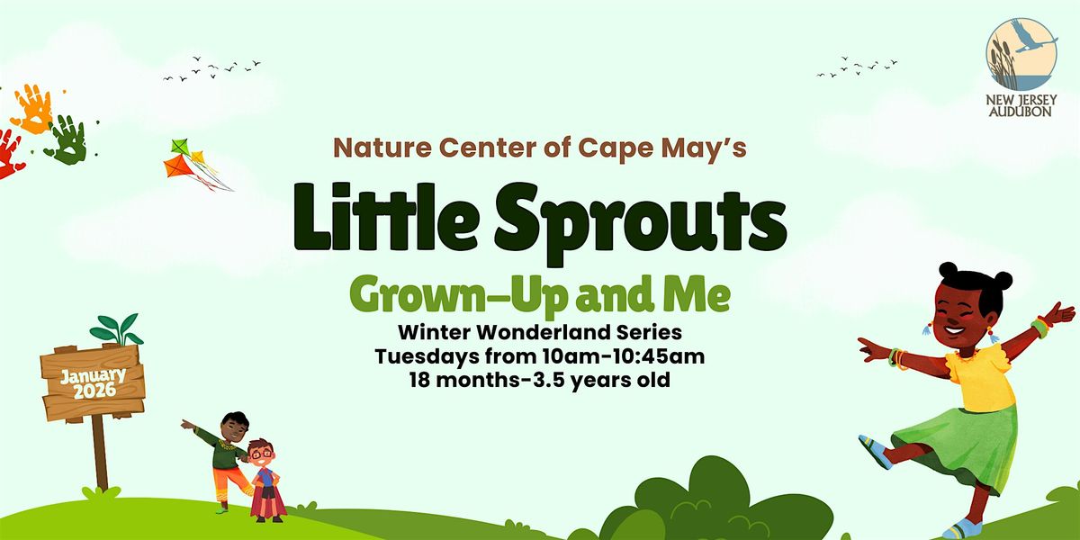 Little Sprouts: Winter Wonderland Series