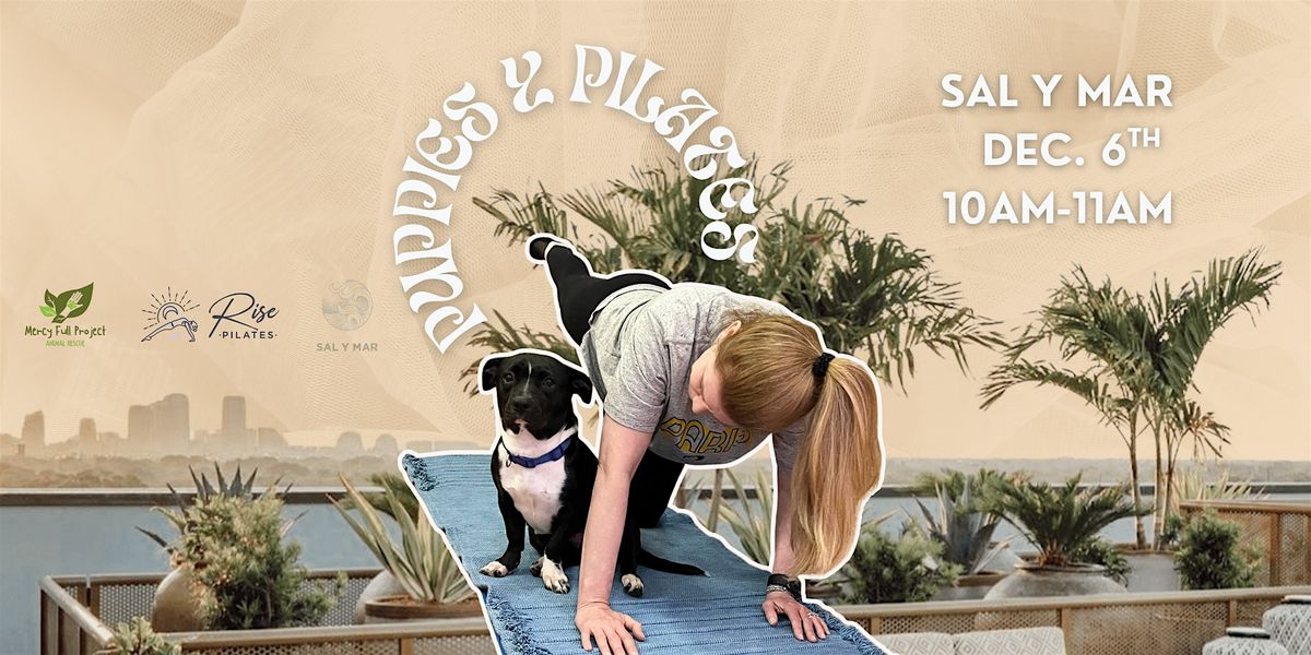 Puppies y Pilates with Mercy Full Project at Sal y Mar