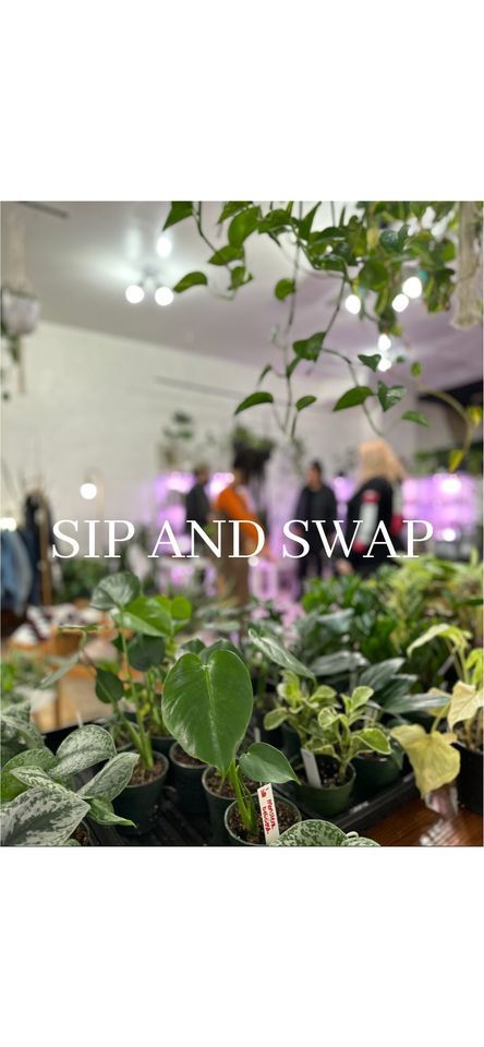 Plant Sip and Swap | ROOTED.uptown, Racine, WI | May 6, 2023