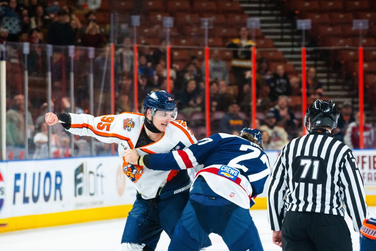 South Carolina Stingrays vs. Greenville Swamp Rabbits