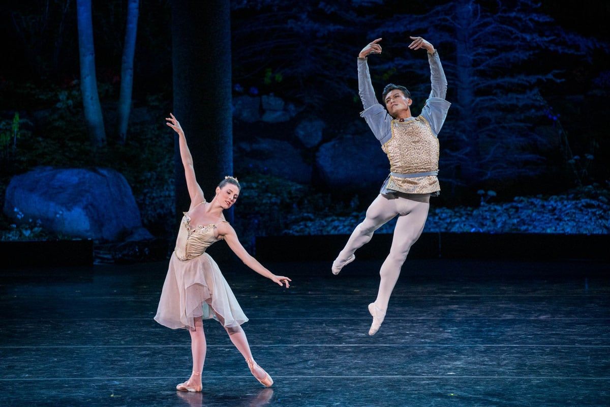 International Ballet Stars: Swan Lake