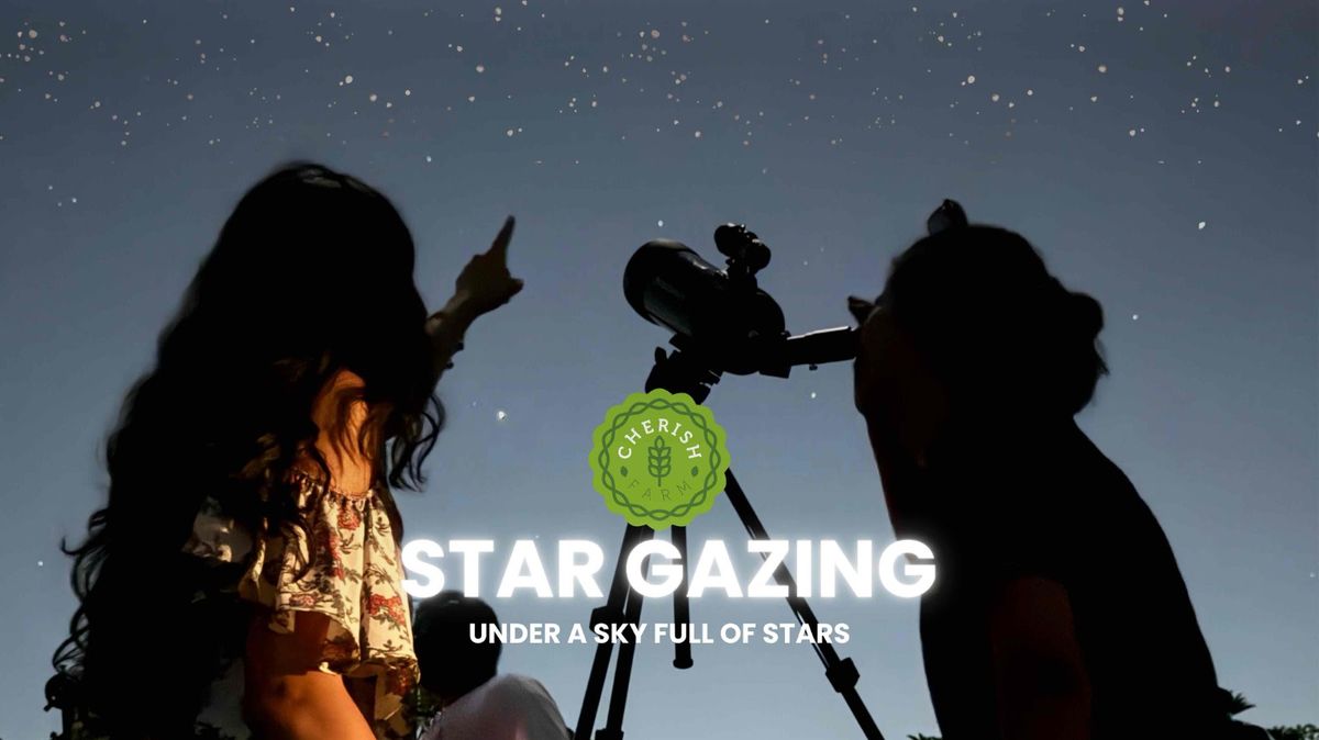 Star-Gazing