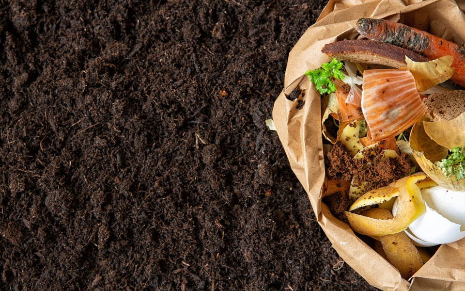 SOLD OUT Composting San Antonio Botanical Garden March 8