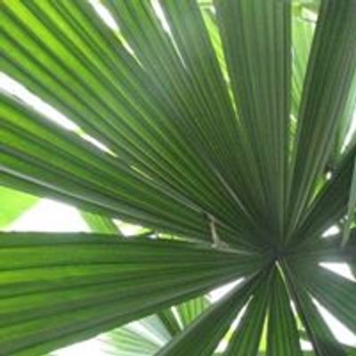 South Florida Palm Society