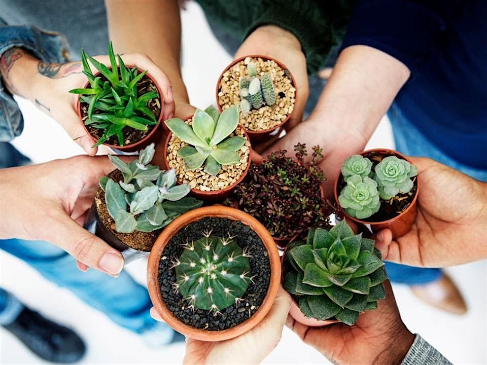 Annual Spring Plant Swap