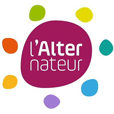 L'Alternateur