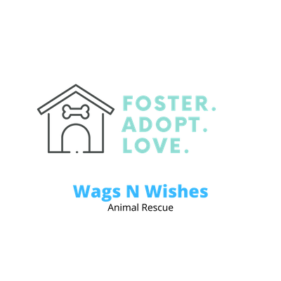 WagsNWishes Animal Rescue