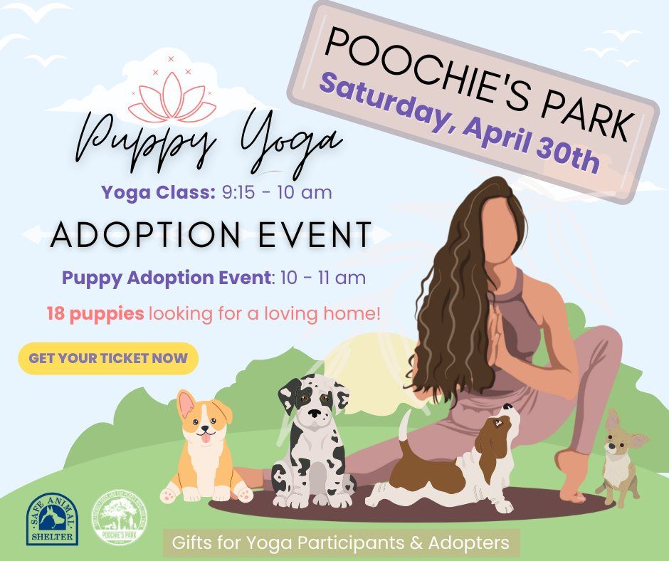 PUPPY YOGA AT POOCHIES DOG PARK