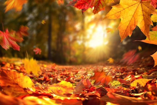 Mabon\/Autumn Equinox blessing