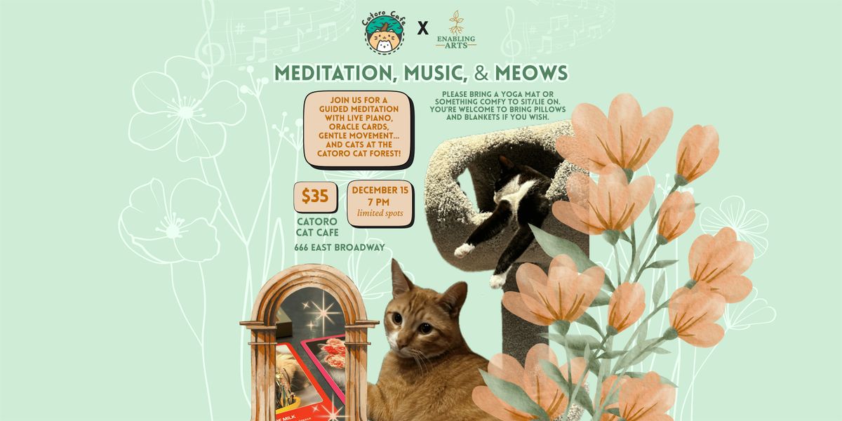 Meditation, Music, & Meows